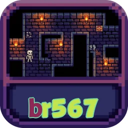 br567