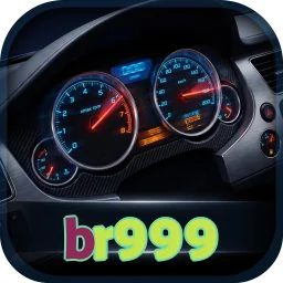 br999
