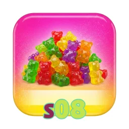 s08